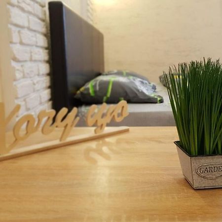 New Luxury Studio Apartment Ivano-Frankivsk Luaran gambar